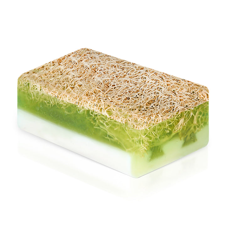 Botanica Comfort Soapera Premium Handmade Loofah Aloe Vera Soap | Face & Body | Vegan